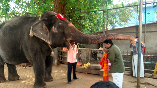 Kollur-temple-devotee